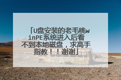 U盘安装的老毛桃winPE系统进入后看不到本地磁盘,求高手指教!!谢谢