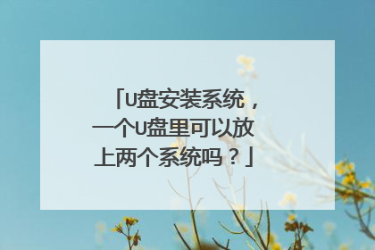 U盘安装系统,一个U盘里可以放上两个系统吗?