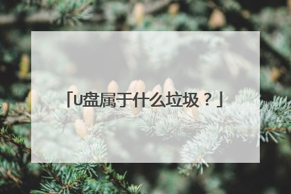 U盘属于什么垃圾?