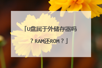 U盘属于外储存器吗?RAM还ROM?