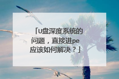 U盘深度系统的问题，直接进pe应该如何解决？