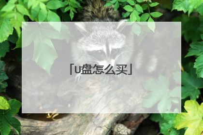 U盘怎么买