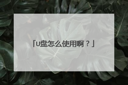 U盘怎么使用啊?