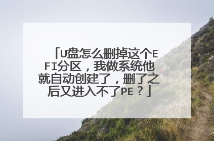 U盘怎么删掉这个EFI分区，我做系统他就自动创建了，删了之后又进入不了PE？
