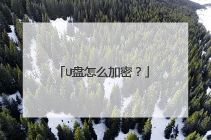 U盘怎么加密？