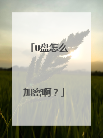 U盘怎么加密啊?