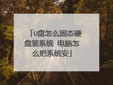 U盘怎么固态硬盘装系统 电脑怎么把系统安