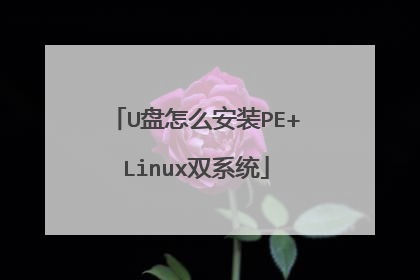 U盘怎么安装PE+Linux双系统