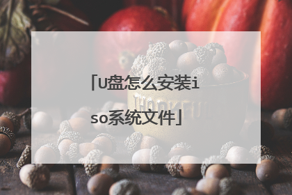U盘怎么安装iso系统文件