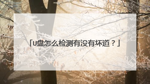 U盘怎么检测有没有坏道？