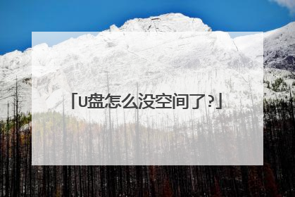 U盘怎么没空间了?