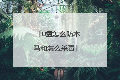 U盘怎么防木马和怎么杀毒