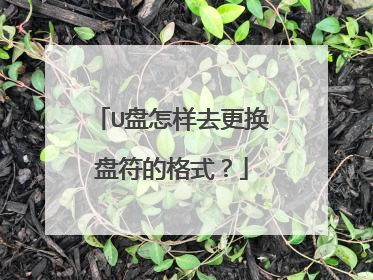 U盘怎样去更换盘符的格式?
