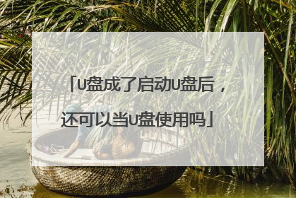 U盘成了启动U盘后,还可以当U盘使用吗