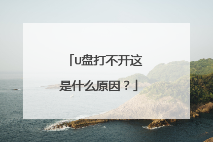 U盘打不开这是什么原因?