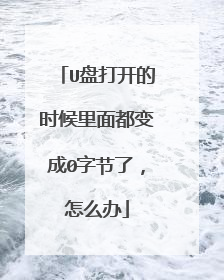 U盘打开的时候里面都变成0字节了，怎么办