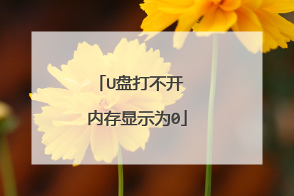 U盘打不开 内存显示为0