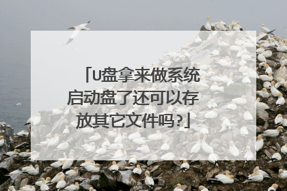 U盘拿来做系统启动盘了还可以存放其它文件吗?