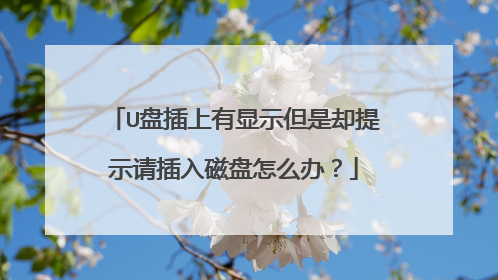 U盘插上有显示但是却提示请插入磁盘怎么办？