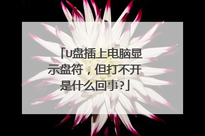 U盘插上电脑显示盘符,但打不开是什么回事?