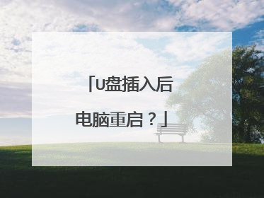 U盘插入后电脑重启？