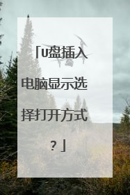 U盘插入电脑显示选择打开方式?