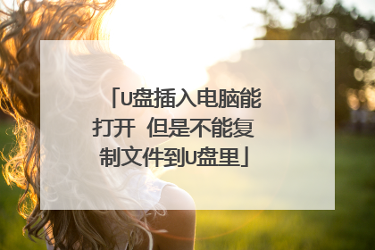 U盘插入电脑能打开 但是不能复制文件到U盘里