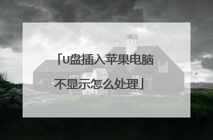 U盘插入苹果电脑不显示怎么处理