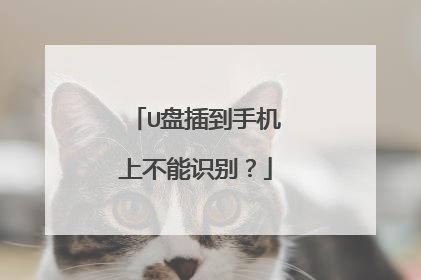 U盘插到手机上不能识别?