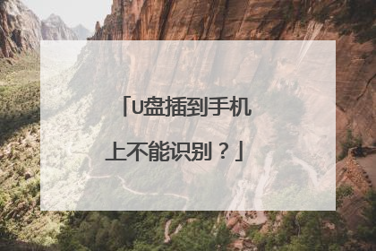 U盘插到手机上不能识别?