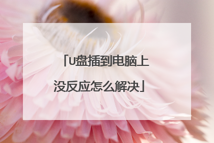 U盘插到电脑上没反应怎么解决