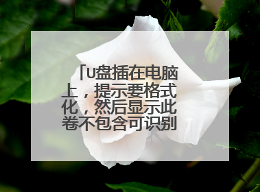 U盘插在电脑上，提示要格式化，然后显示此卷不包含可识别的文件系统。