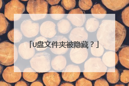 U盘文件夹被隐藏?