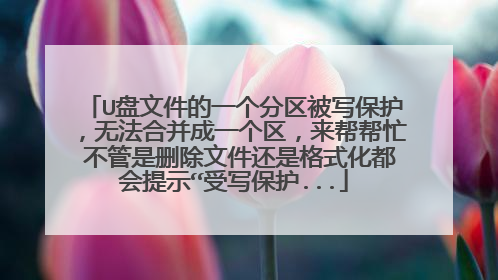 U盘文件的一个分区被写保护,无法合并成一个区,来帮帮忙 不管是删除文件还是格式化都会提示“受写保护...