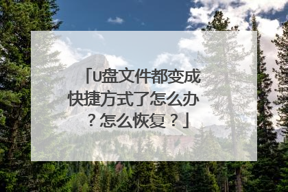 U盘文件都变成快捷方式了怎么办?怎么恢复?