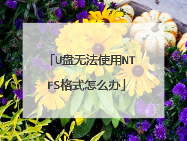 U盘无法使用NTFS格式怎么办