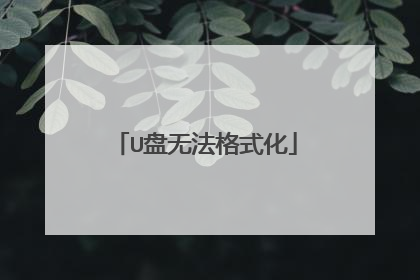 U盘无法格式化