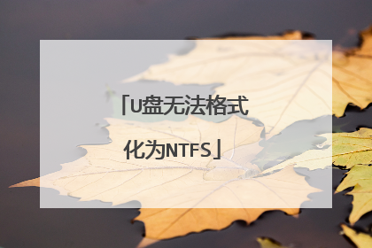U盘无法格式化为NTFS