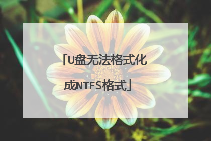 U盘无法格式化成NTFS格式