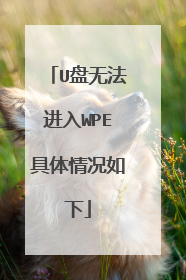 U盘无法进入WPE具体情况如下