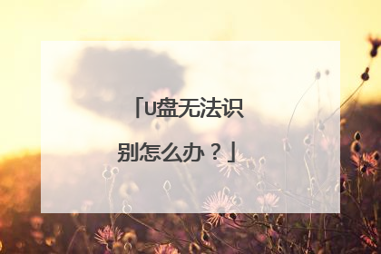 U盘无法识别怎么办?
