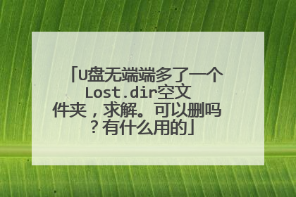 U盘无端端多了一个Lost.dir空文件夹,求解。可以删吗?有什么用的