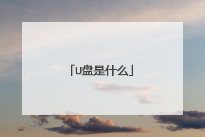U盘是什么