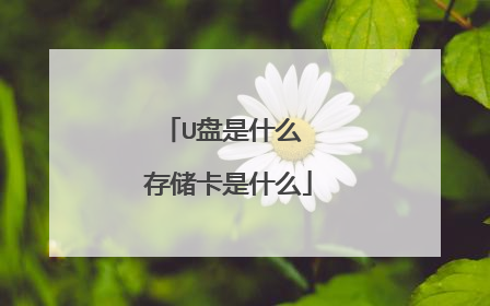 U盘是什么 存储卡是什么