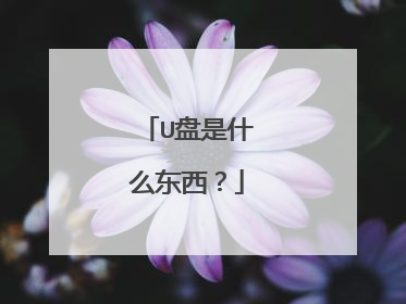 U盘是什么东西?