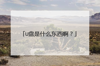 U盘是什么东西啊?