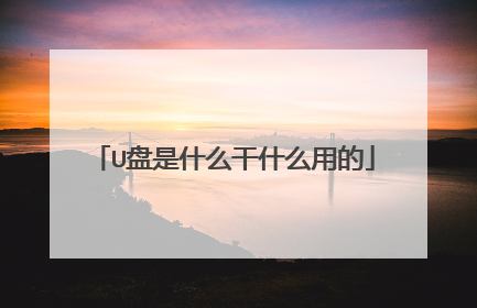 U盘是什么干什么用的