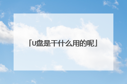 U盘是干什么用的呢