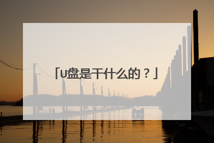 U盘是干什么的?