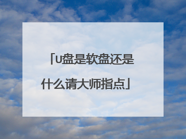 U盘是软盘还是什么请大师指点